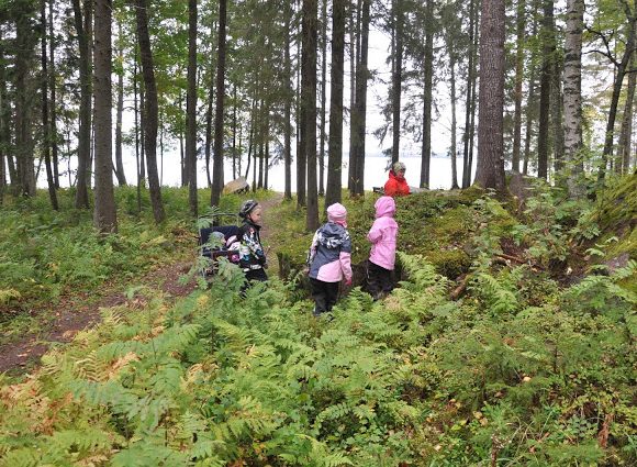 In the forest