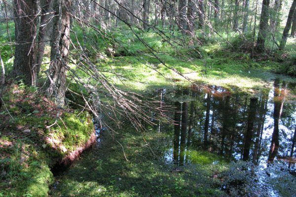 Ympäristönsuojelumääräykset