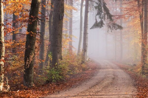 Kadut ja yksityistiet