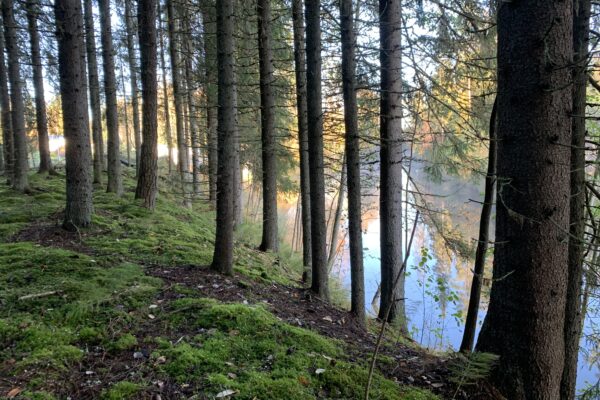 Tutustu Jyllin kylään