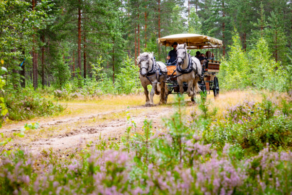 Tutustu Vatulan kylään