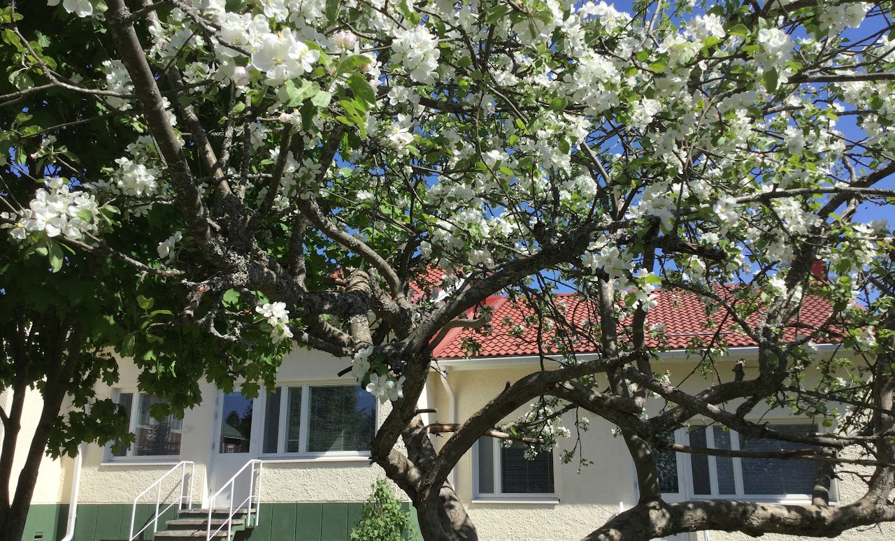 Kuva Kilvakkalan koulun eskarirakennus.