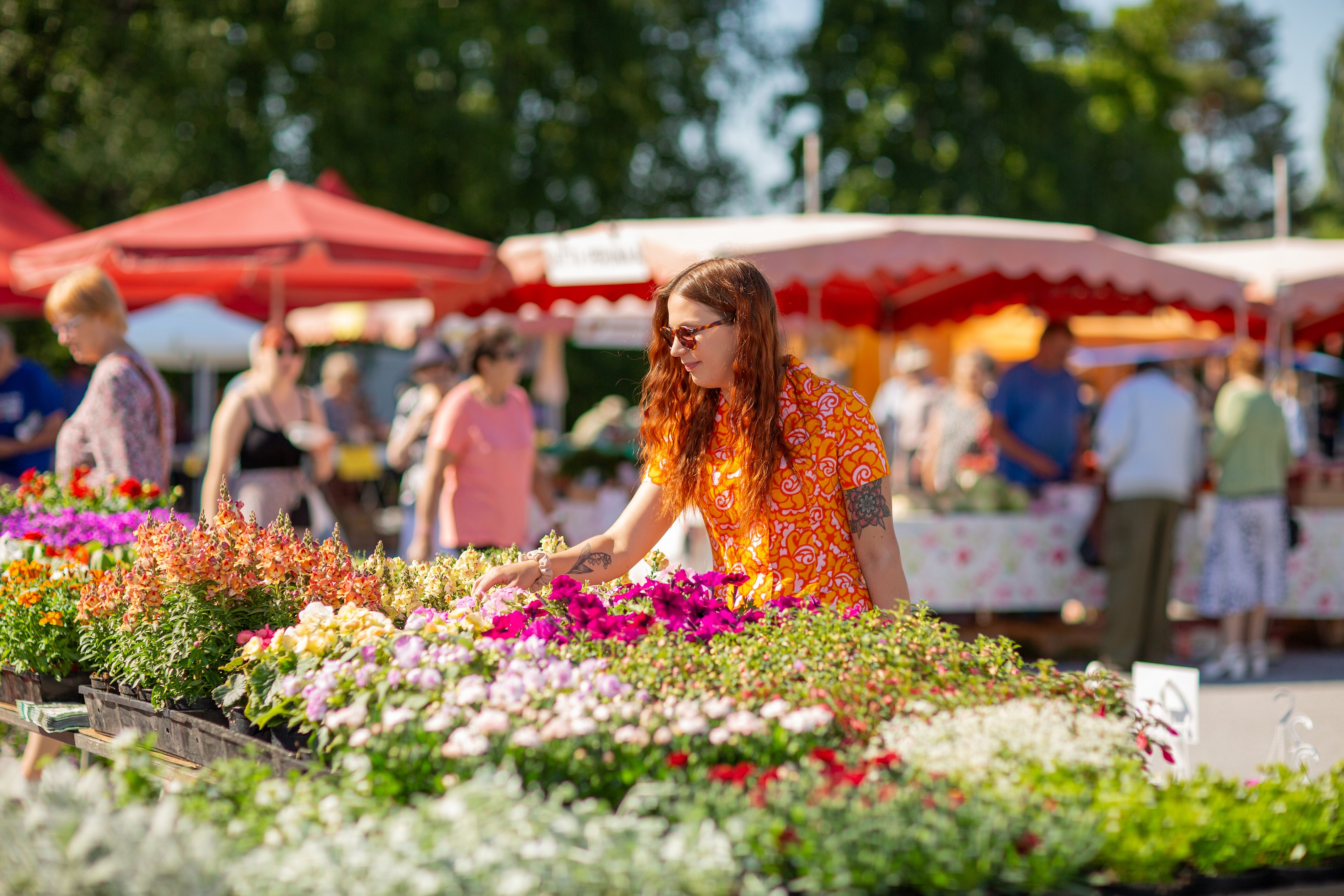 Valokuva kesäiseltä torilta, etualalla myytäviä kukkia.