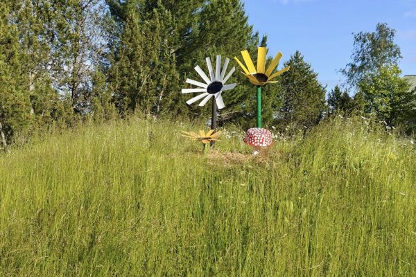 Tutustu Myllykarttu-Mansoniemi kyliin