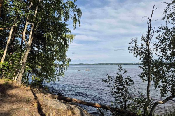 Luonto ja ympäristö