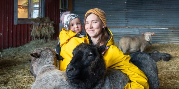 Älykäs kylä lammaskuva