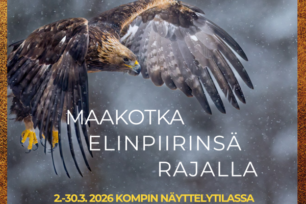 Maakotka elinpiirinsä rajalla -valokuvanäyttely